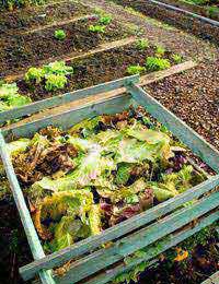 Composting Food Waste Scraps Peelings
