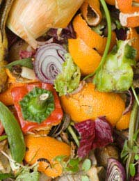 Reducing Your Food Waste