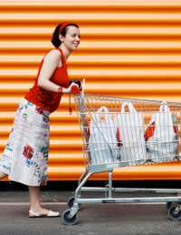 Carrier Bag Bags Landfill Supermarket