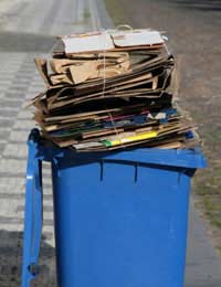 Cardboard Recycleable Composting