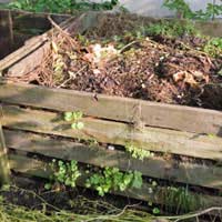 Composting Nitrogen Scraps Natural